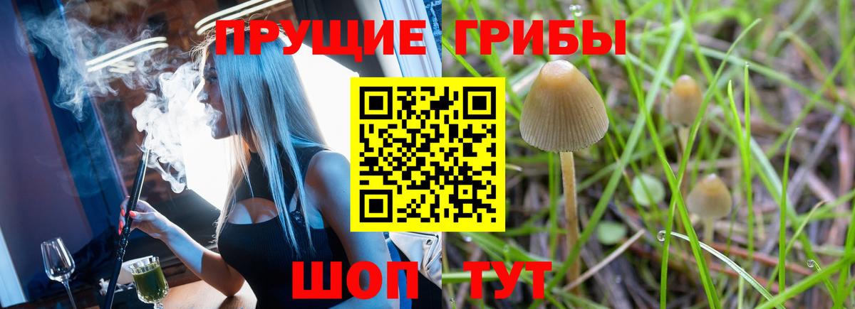 Псилоцибиновые грибы GOLDEN TEACHER Коммунар