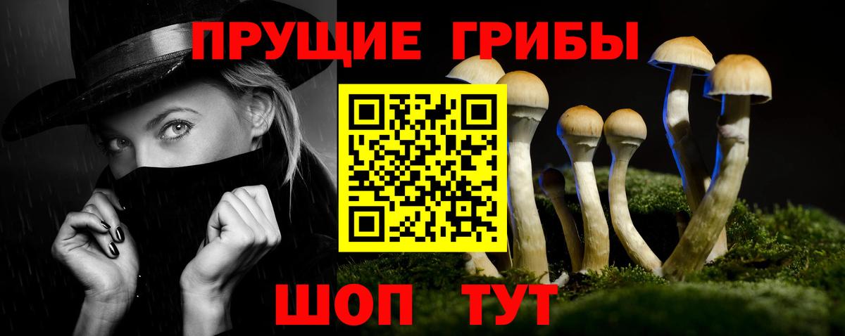 Коммунар  Галлюциногенные грибы Magic Shrooms  Вход с VPN  Псилоцибиновые грибы мухоморы 